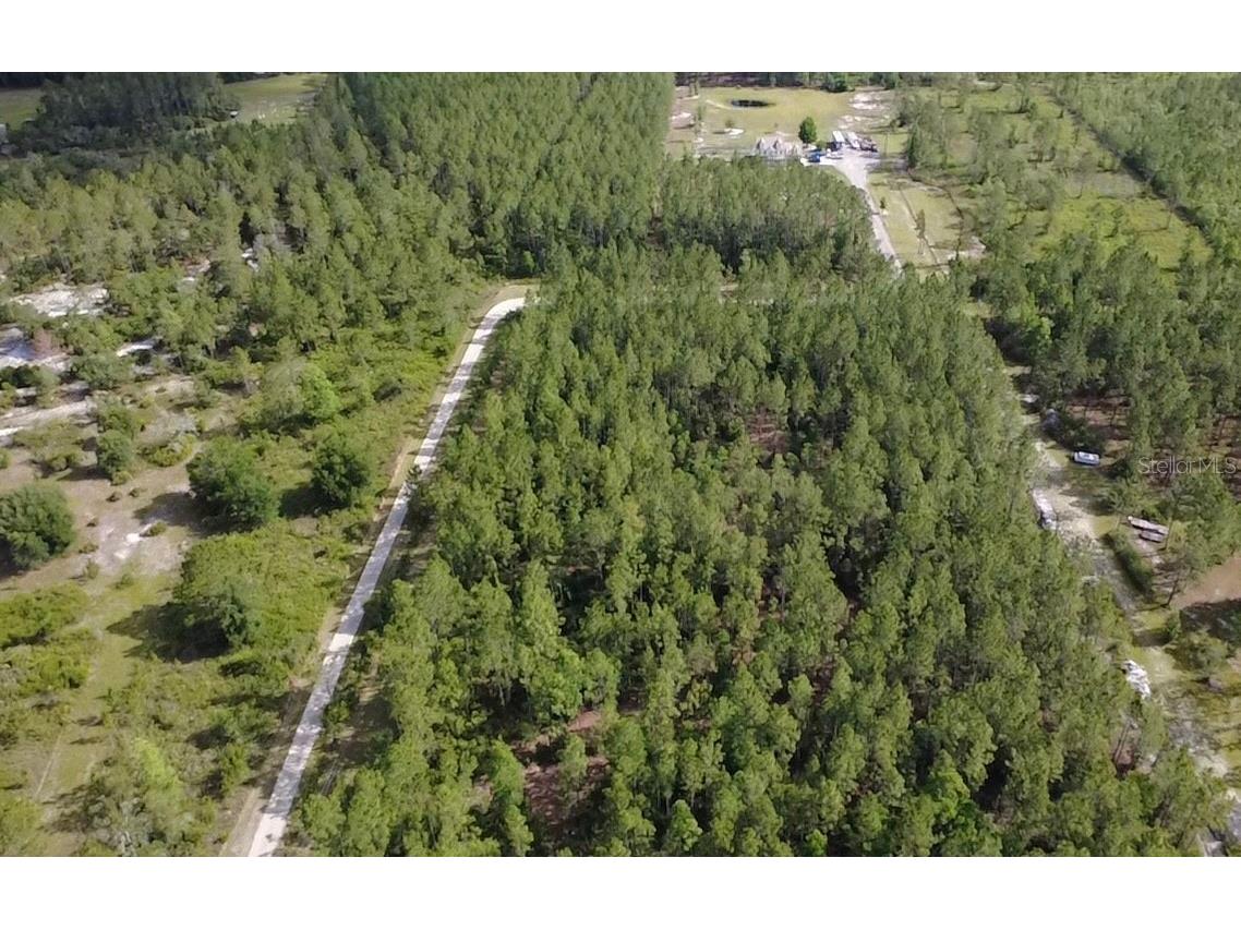859 Wild Cur Road Pierson FL 32180 TB8510698 image3