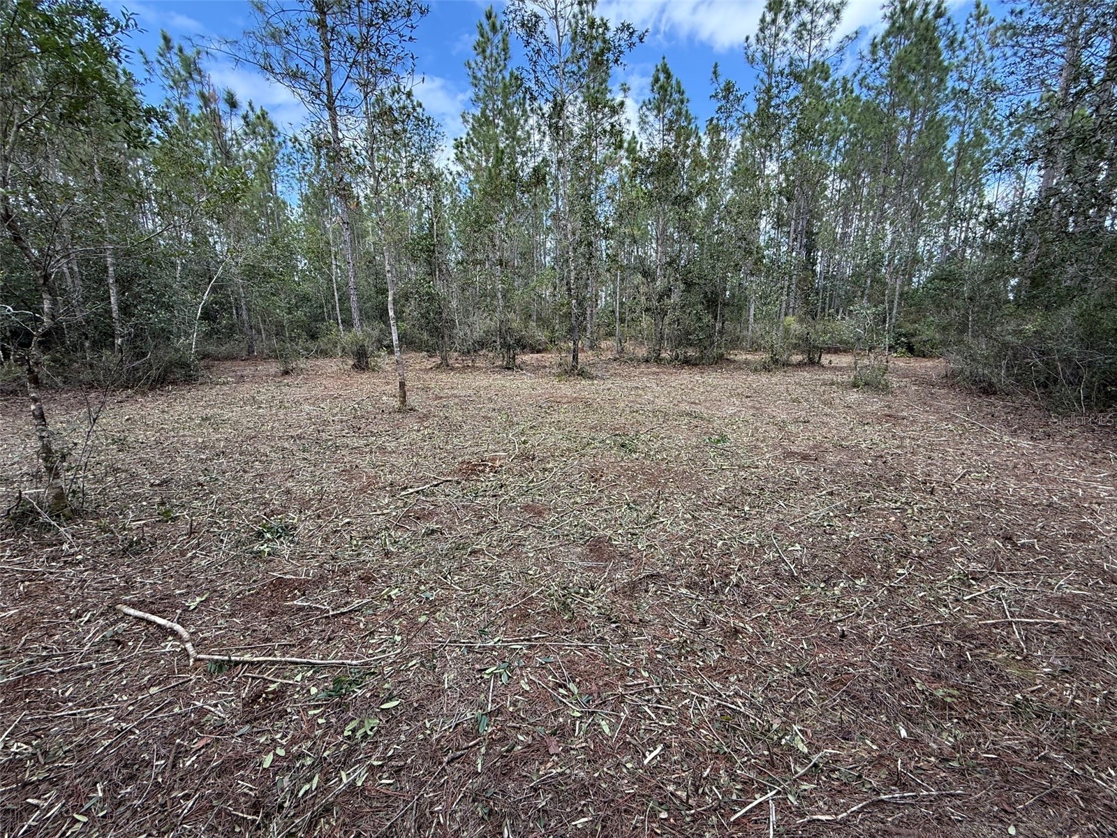 859 Wild Cur Road Pierson FL 32180 TB8510698 image6