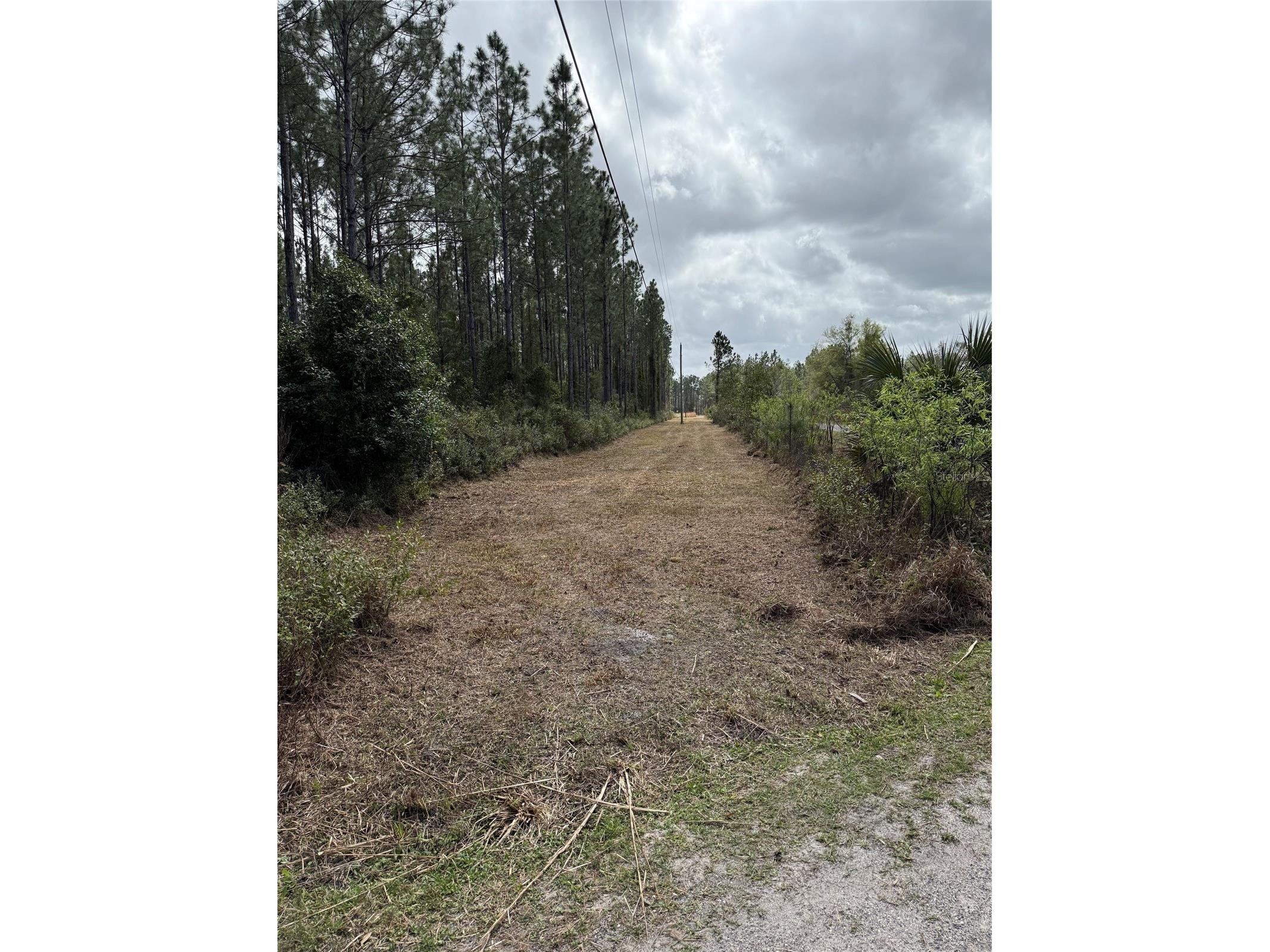 859 Wild Cur Road Pierson FL 32180 TB8510698 image7
