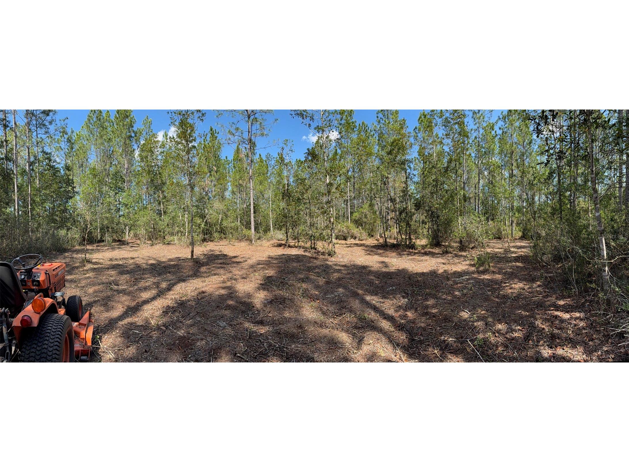 859 Wild Cur Road Pierson FL 32180 TB8510698 image8