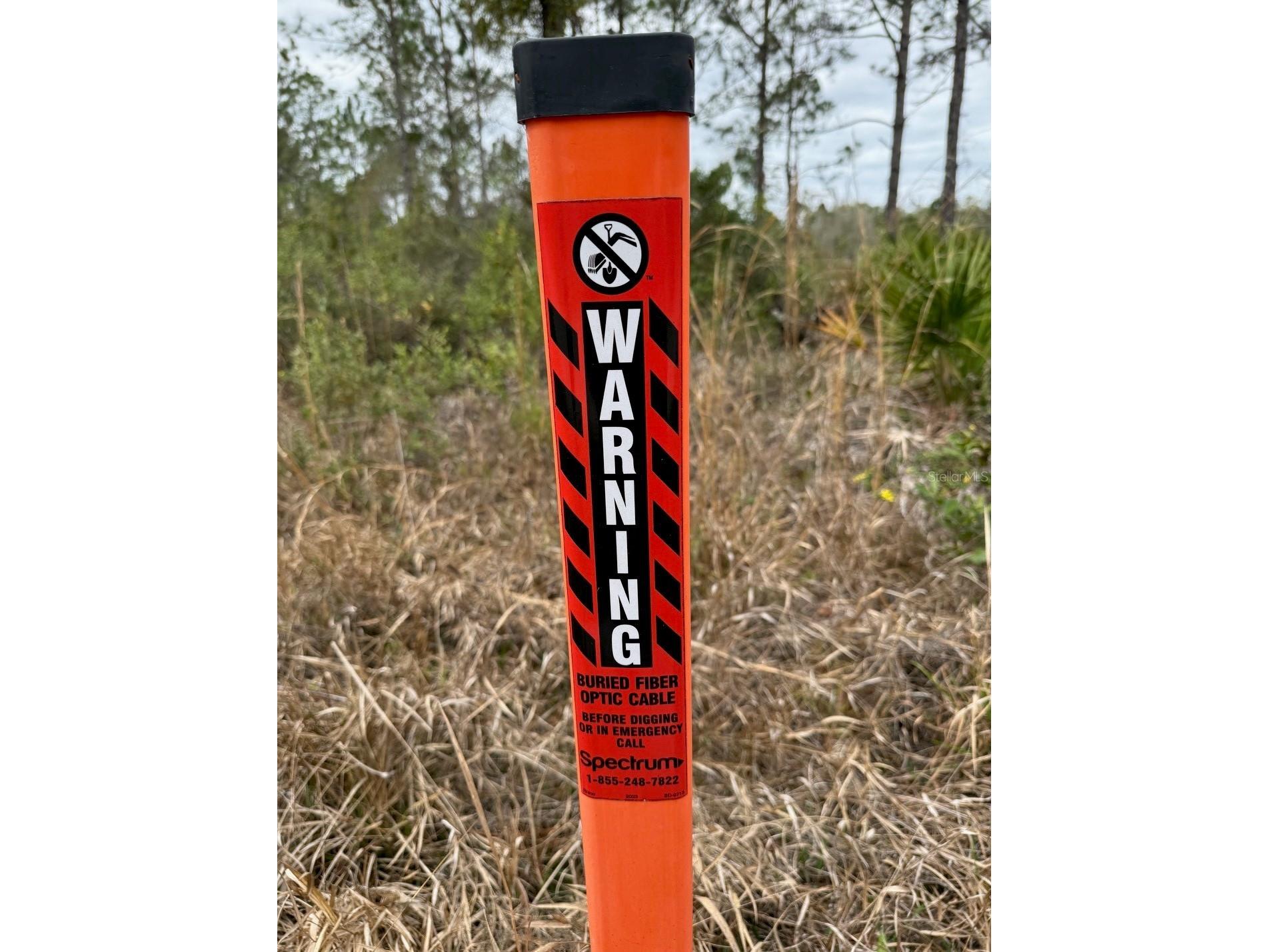 859 Wild Cur Road Pierson FL 32180 TB8510698 image9