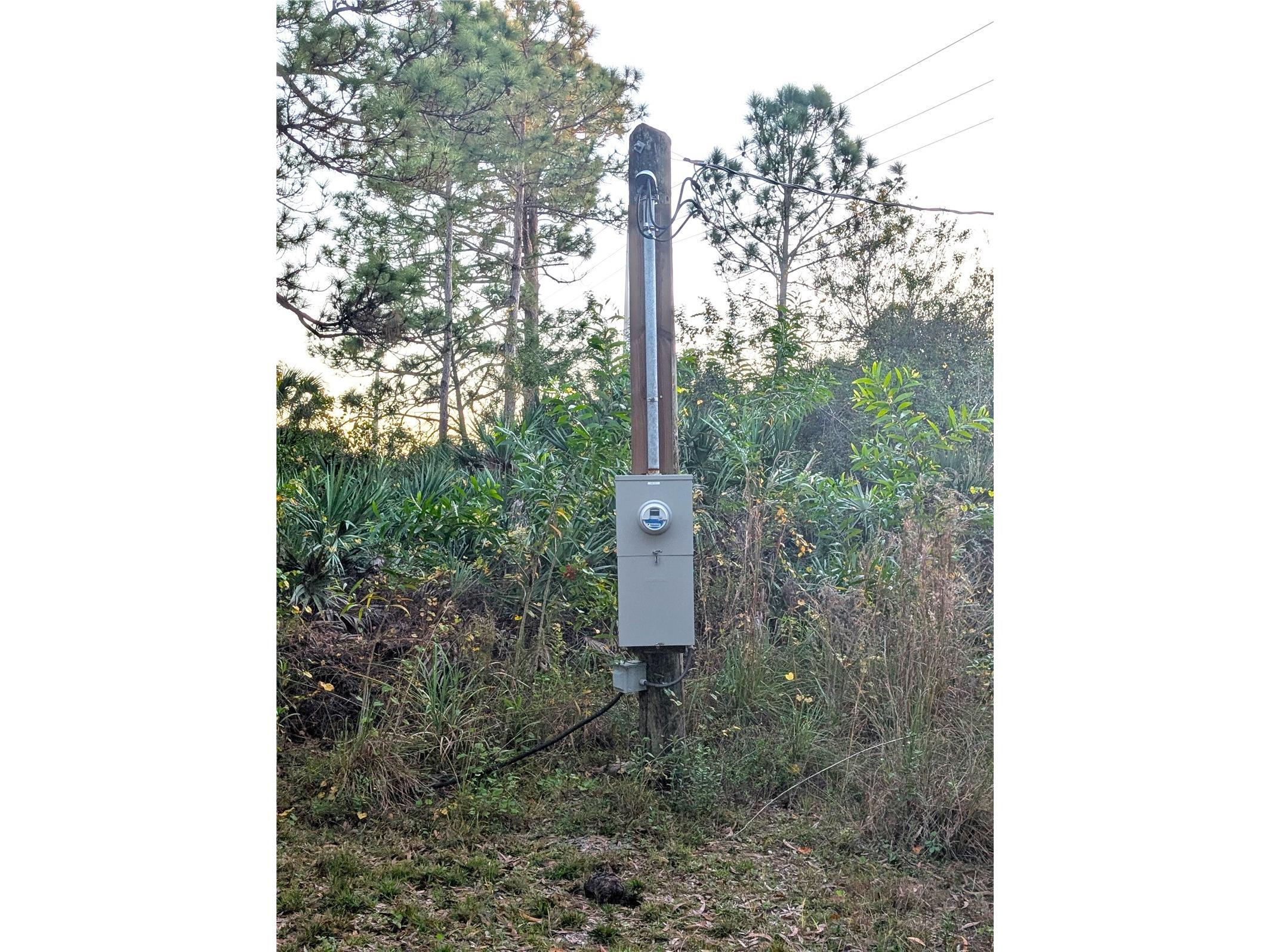 8590 130th Avenue Fellsmere FL 32948 TB8464217 image3