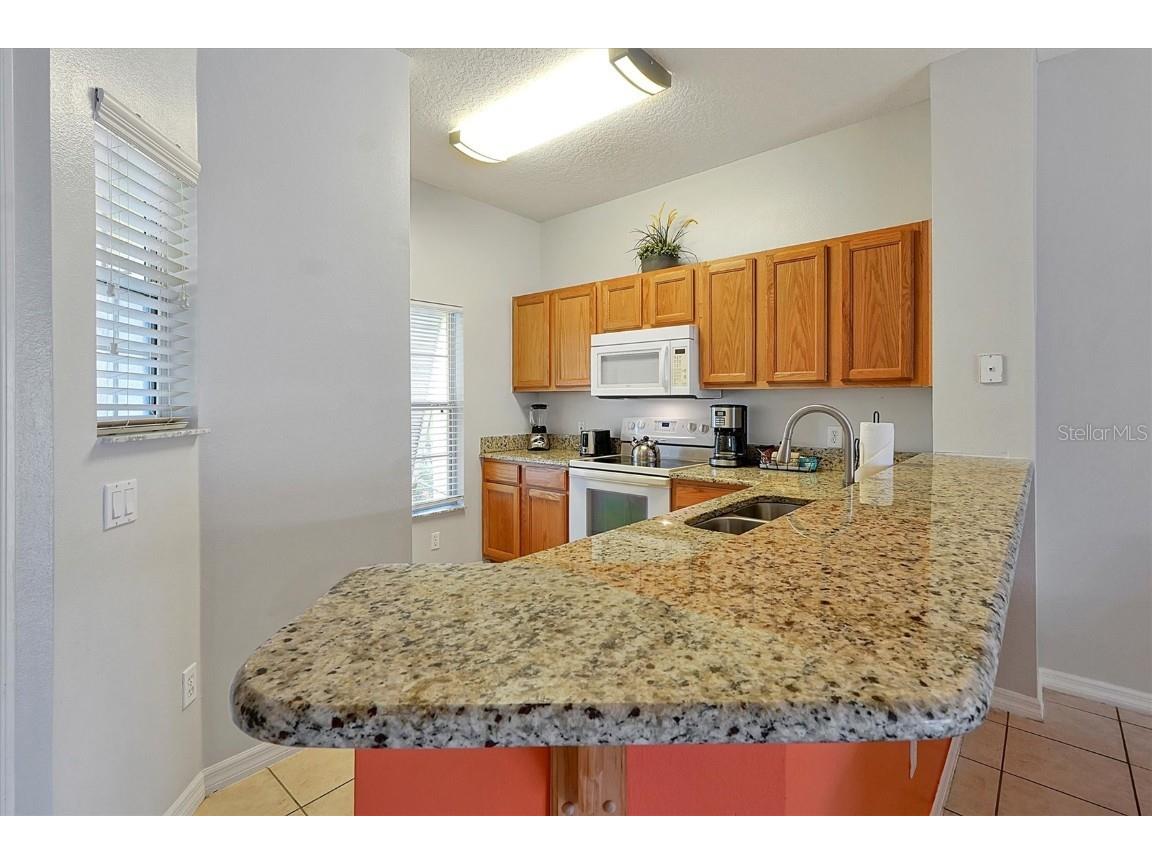 8591 Bay Lilly Loop Kissimmee FL 34747 O6352068 image8