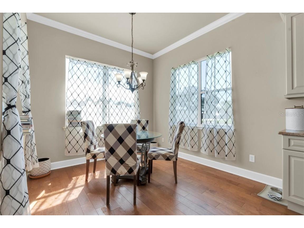 8591 Forsyth Drive Seminole FL 33772 TB8421990 image10