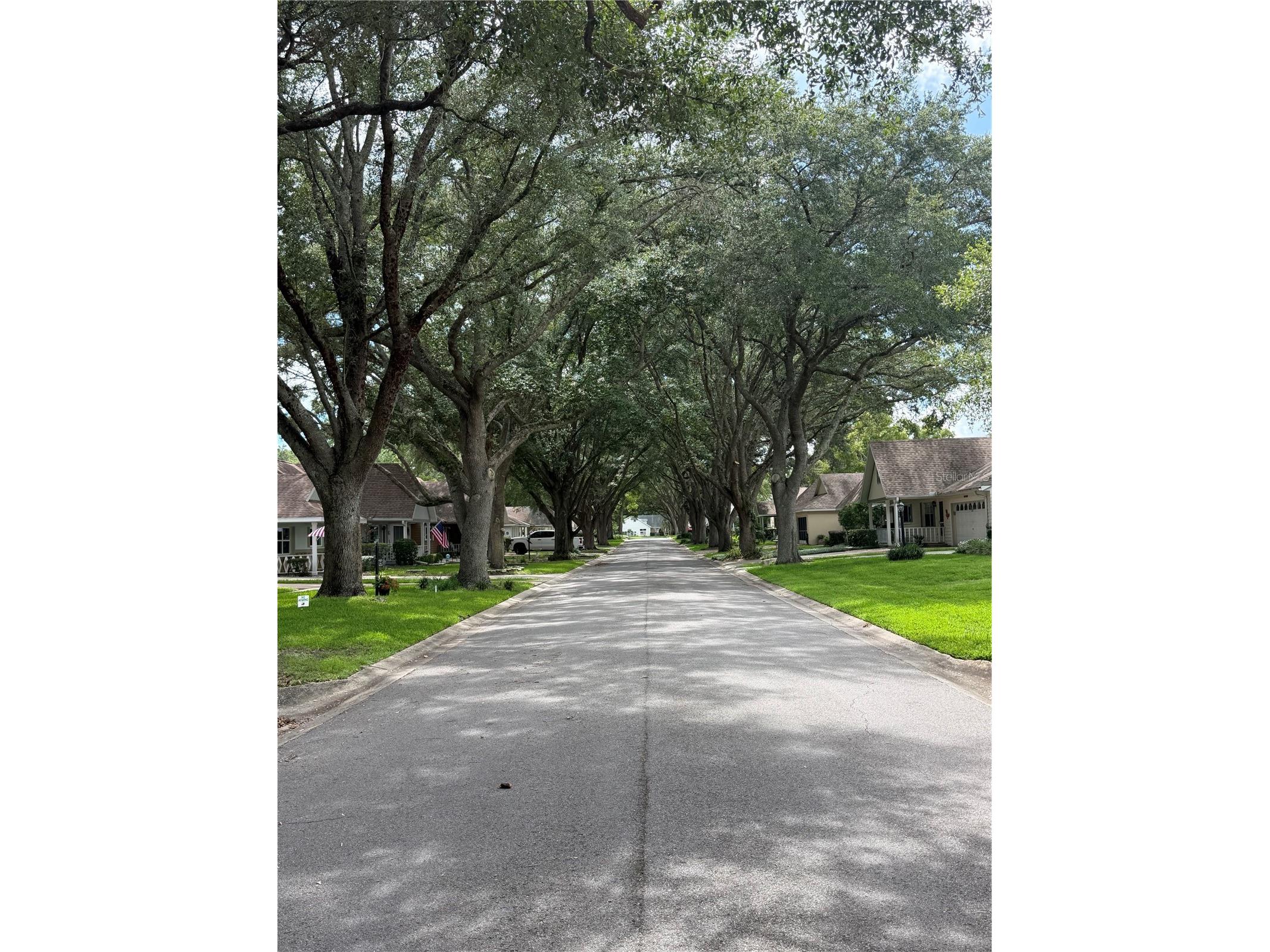 8591 SW 93rd Place #B Ocala FL 34481 OM727949 image21