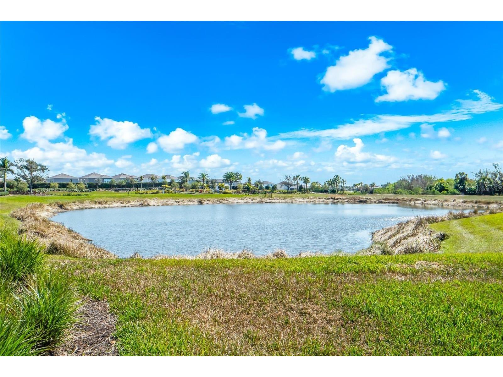 8592 Lunar Skye Street Sarasota FL 34241 A4684224 image52