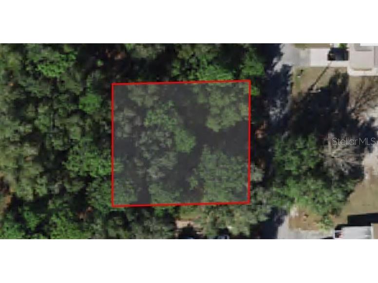 8592 N Discalfani Loop Crystal River FL 34428 OM679133 image1