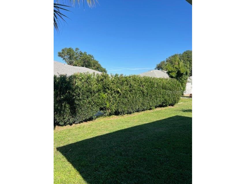 8592 SW 60th Court Ocala FL 34476 O6342884 image20