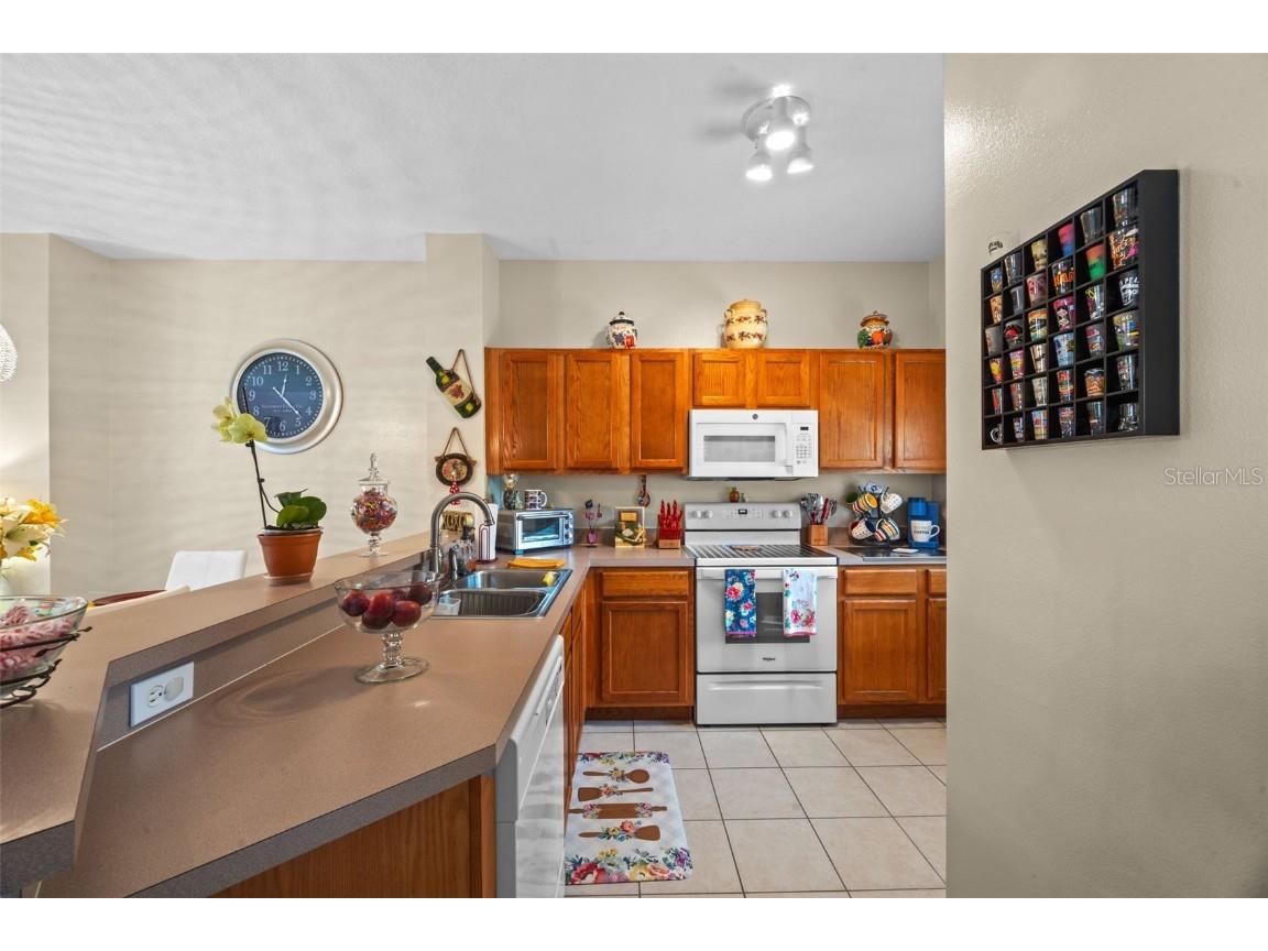 8593 Bay Lilly Loop Kissimmee FL 34747 G5101196 image10