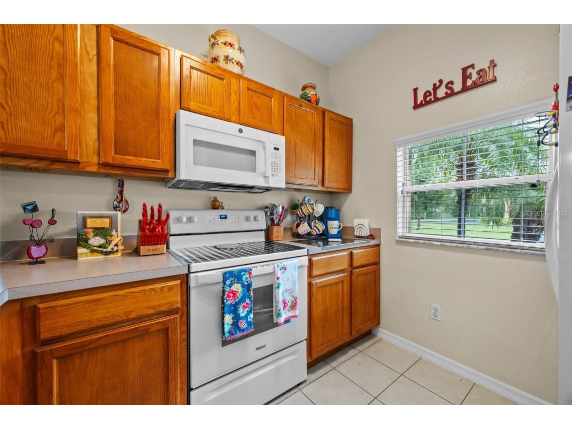 8593 Bay Lilly Loop Kissimmee FL 34747 G5101196 image13