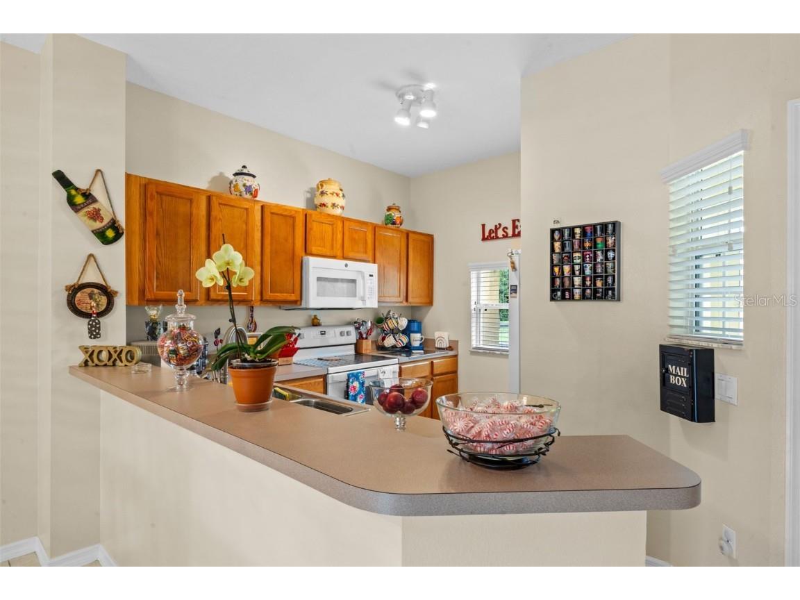 8593 Bay Lilly Loop Kissimmee FL 34747 G5101196 image15