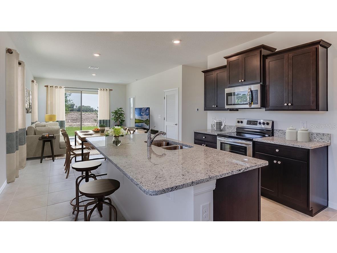 8593 Pinecrest Trail Wildwood FL 34785 OM708087 image3