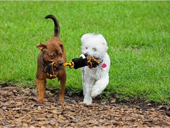 8595 Oakstone Circle Leesburg FL 34788 O6396631 image41