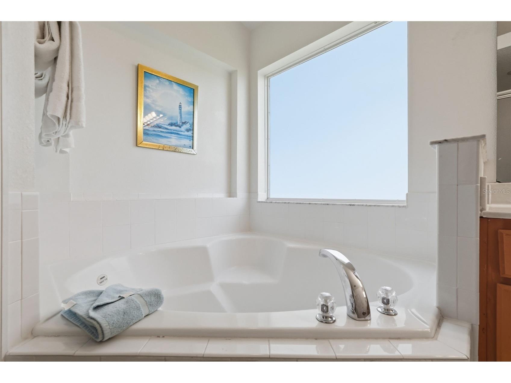 8595 Sunrise Key Drive Kissimmee FL 34747 TB8458096 image38