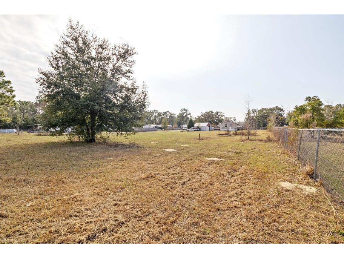 8597 SE 126th Place Belleview FL 34420 OM694911 image7