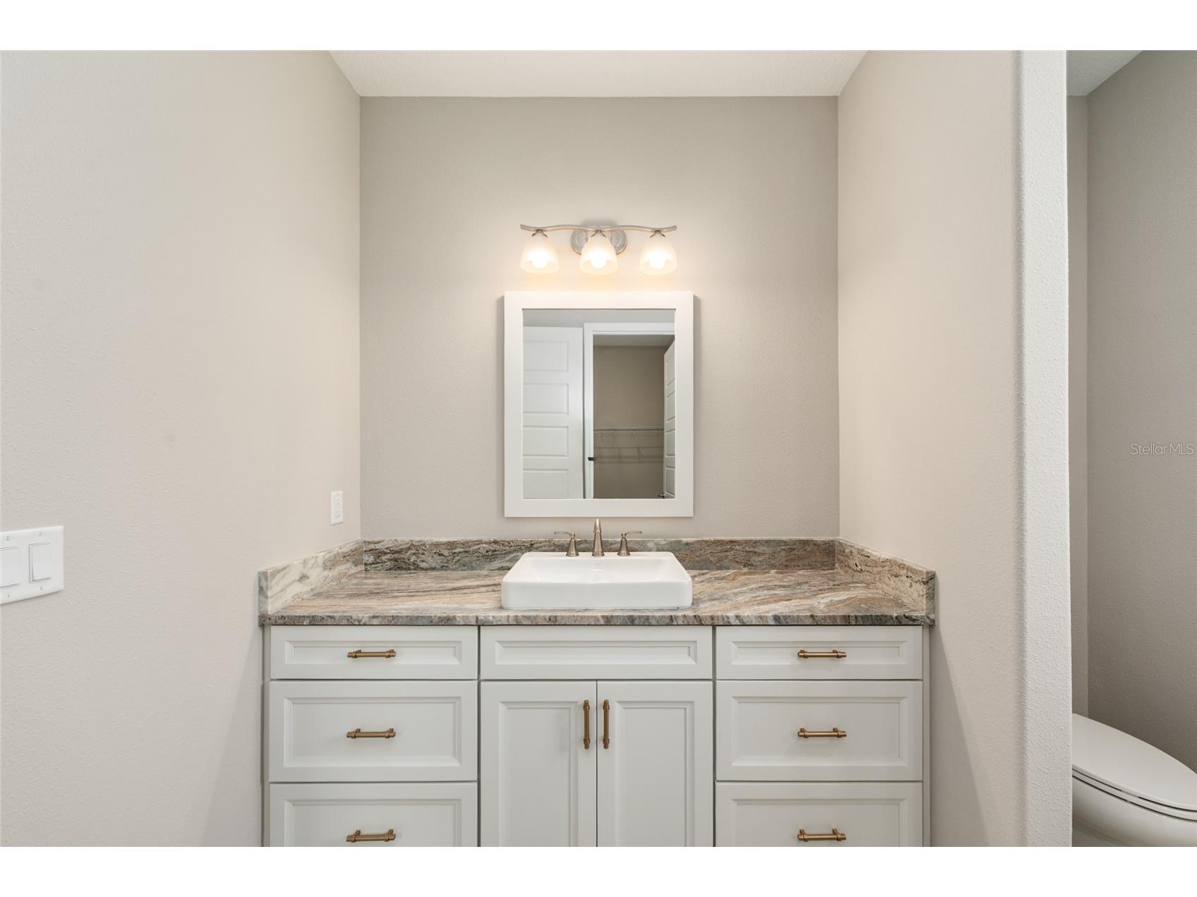 8597 SW 99th Circle Ocala FL 34481 OM725784 image46