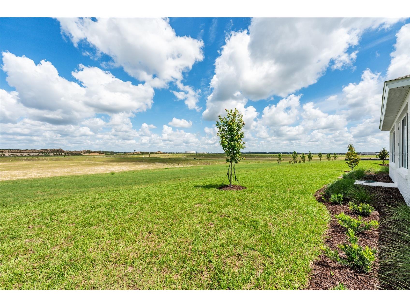 8597 SW 99th Circle Ocala FL 34481 OM725784 image69