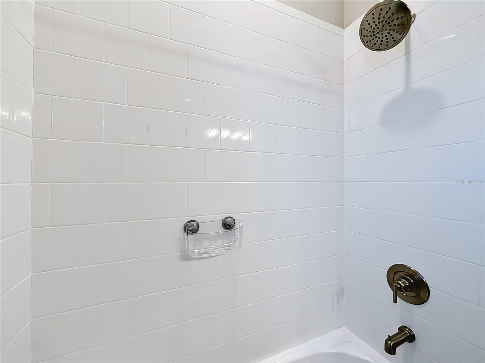 8598 Bridgeport Bay Circle Mount Dora FL 32757 G5112533 image48
