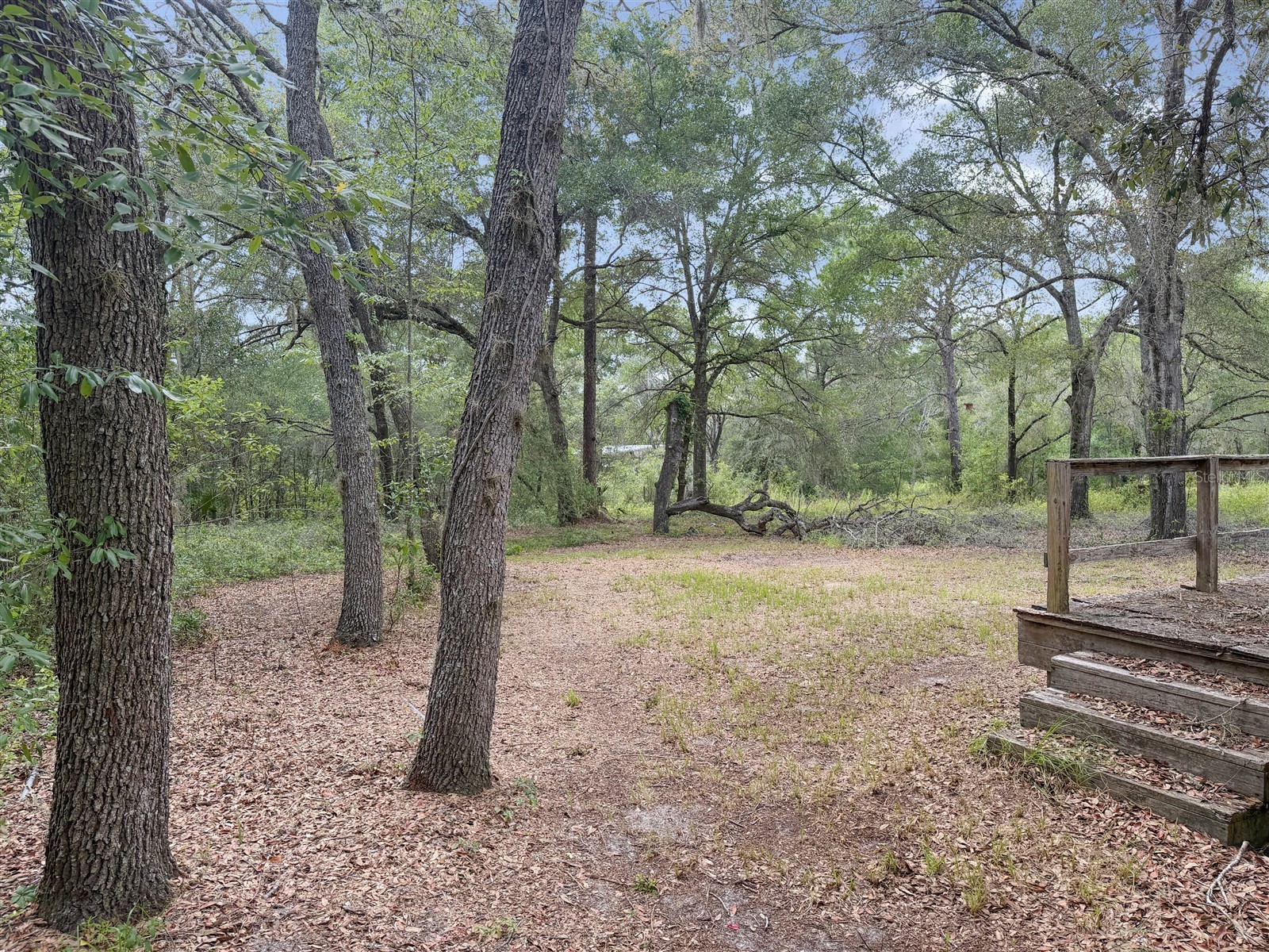 8598 N Appenines Point Dunnellon FL 34433 OM727503 image4