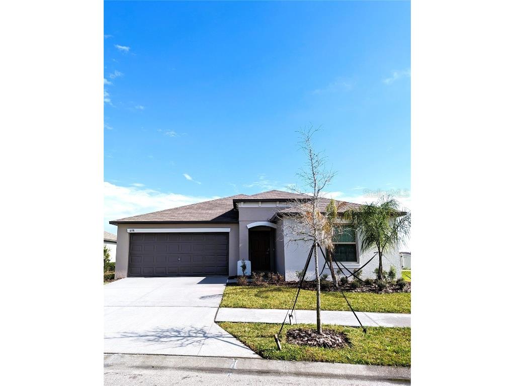 8598 Parsons Hill Boulevard Wesley Chapel FL 33545 T3508877 image1
