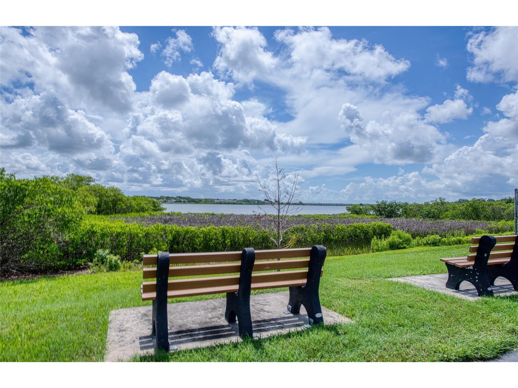 86 Cottagewood Drive #36 Safety Harbor FL 34695 TB8518196 image48