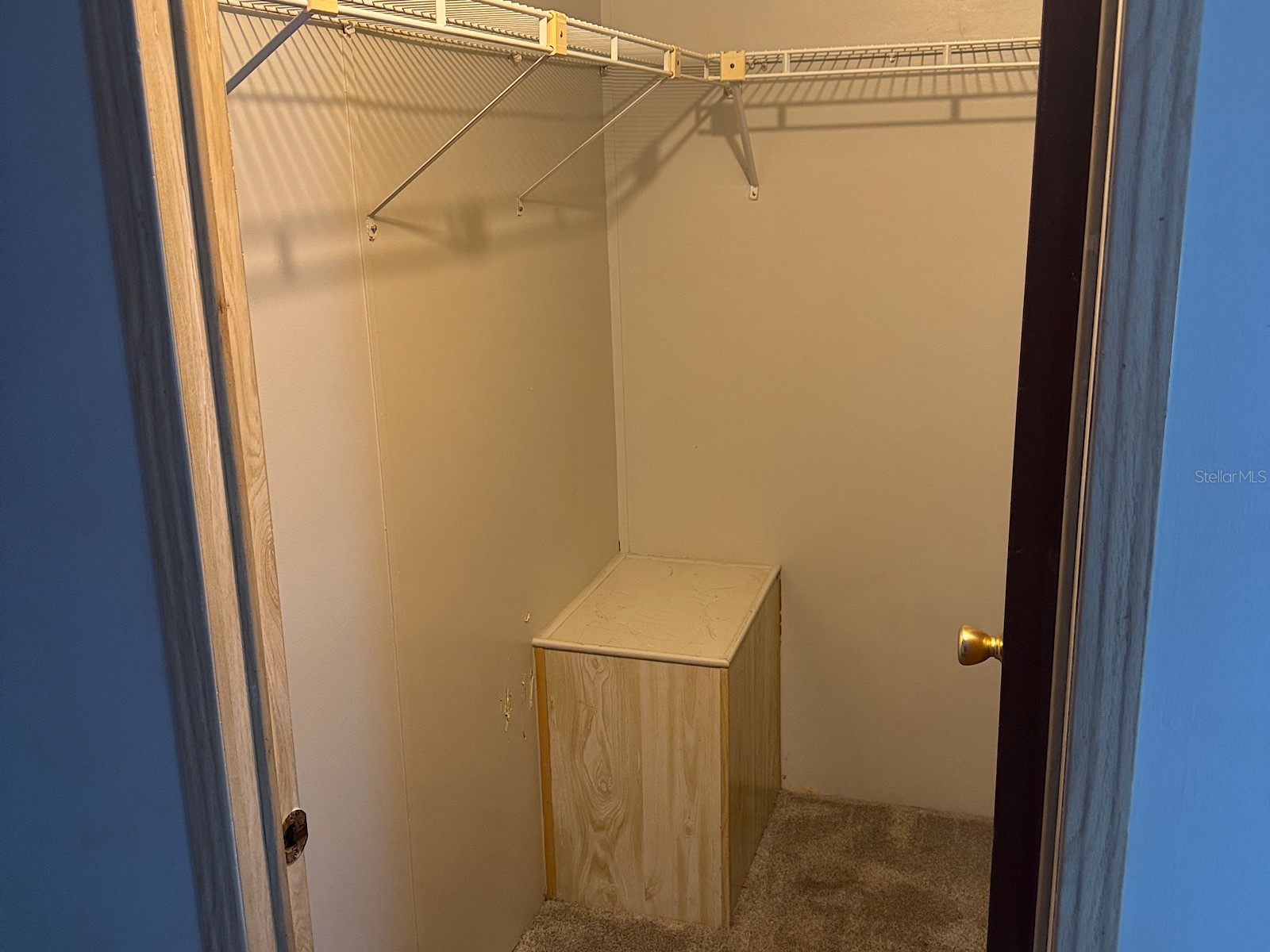 86 Pelican Drive N Oldsmar FL 34677 TB8506405 image16
