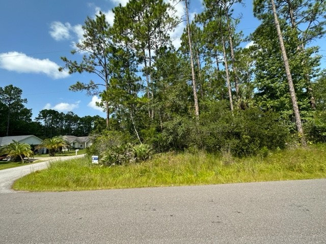 86 Renshaw Drive Palm Coast FL 32164 S5090118 image1