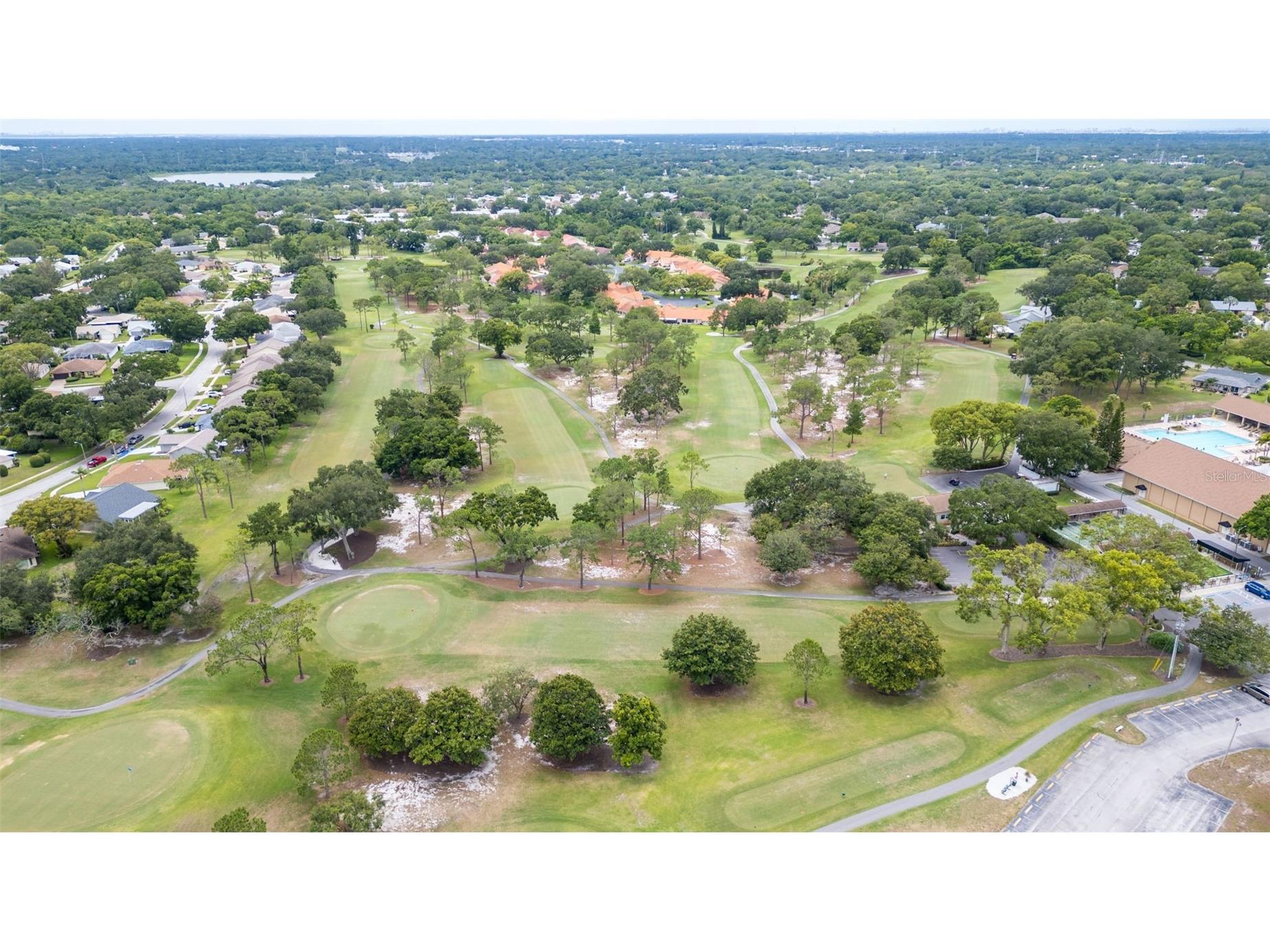 860 Maclaren Drive N #B Palm Harbor FL 34684 TB8508226 image36