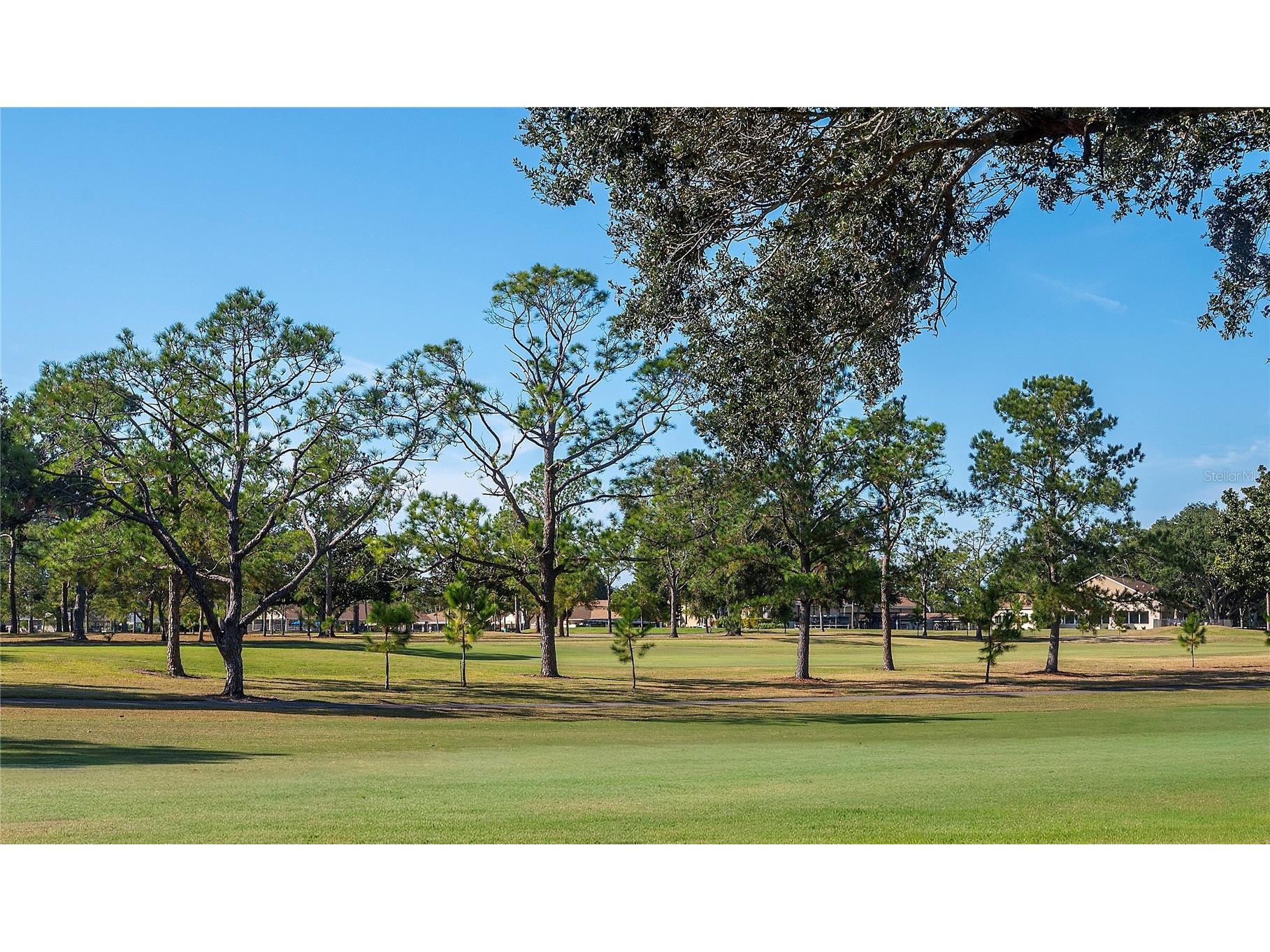 860 Maclaren Drive N #B Palm Harbor FL 34684 TB8508226 image37