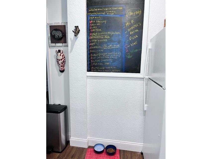860 N Orange Avenue #268 Orlando FL 32801 O6392484 image18