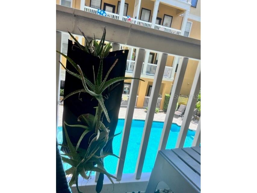 860 N Orange Avenue #268 Orlando FL 32801 O6392484 image22