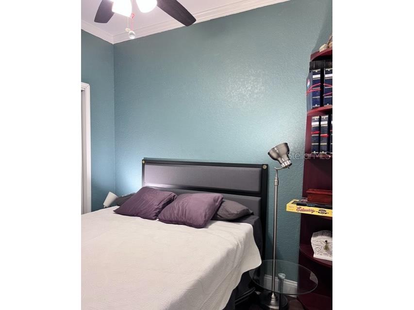 860 N Orange Avenue #268 Orlando FL 32801 O6392484 image25
