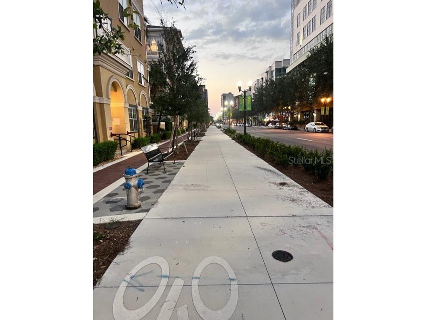 860 N Orange Avenue #268 Orlando FL 32801 O6392484 image41