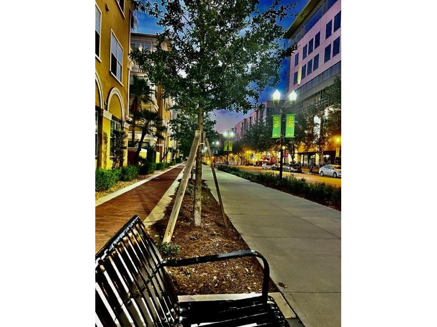 860 N Orange Avenue #268 Orlando FL 32801 O6392484 image43