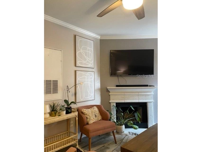 860 N Orange Avenue #453 Orlando FL 32801 O6412531 image6