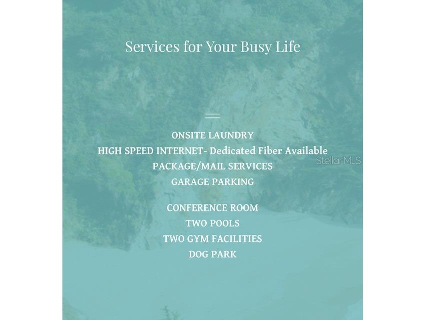 860 N Orange Avenue #464 Orlando FL 32801 O6333714 image33