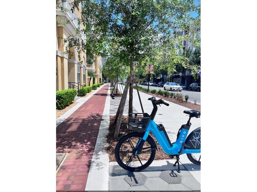 860 N Orange Avenue #464 Orlando FL 32801 O6333714 image38