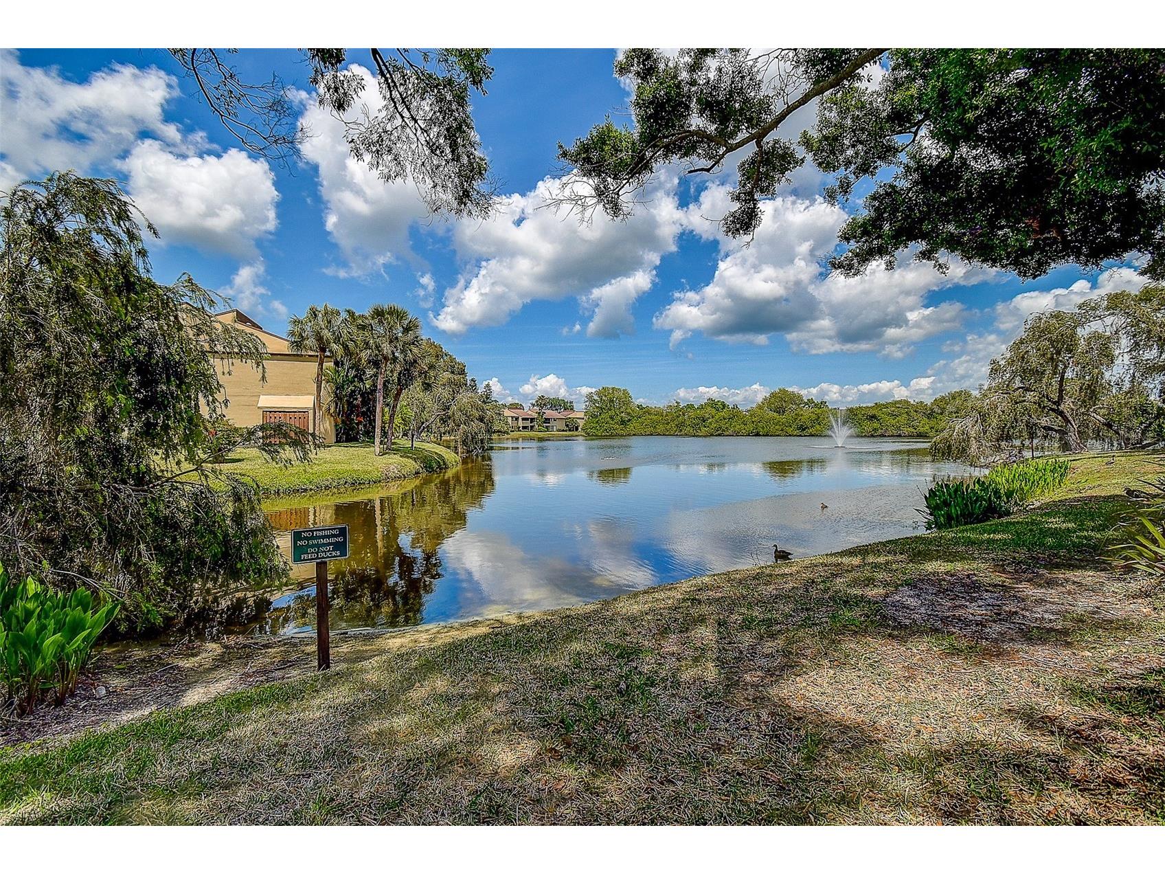 860 S Village Drive N #106 Saint Petersburg FL 33716 - N TB8504075 image35