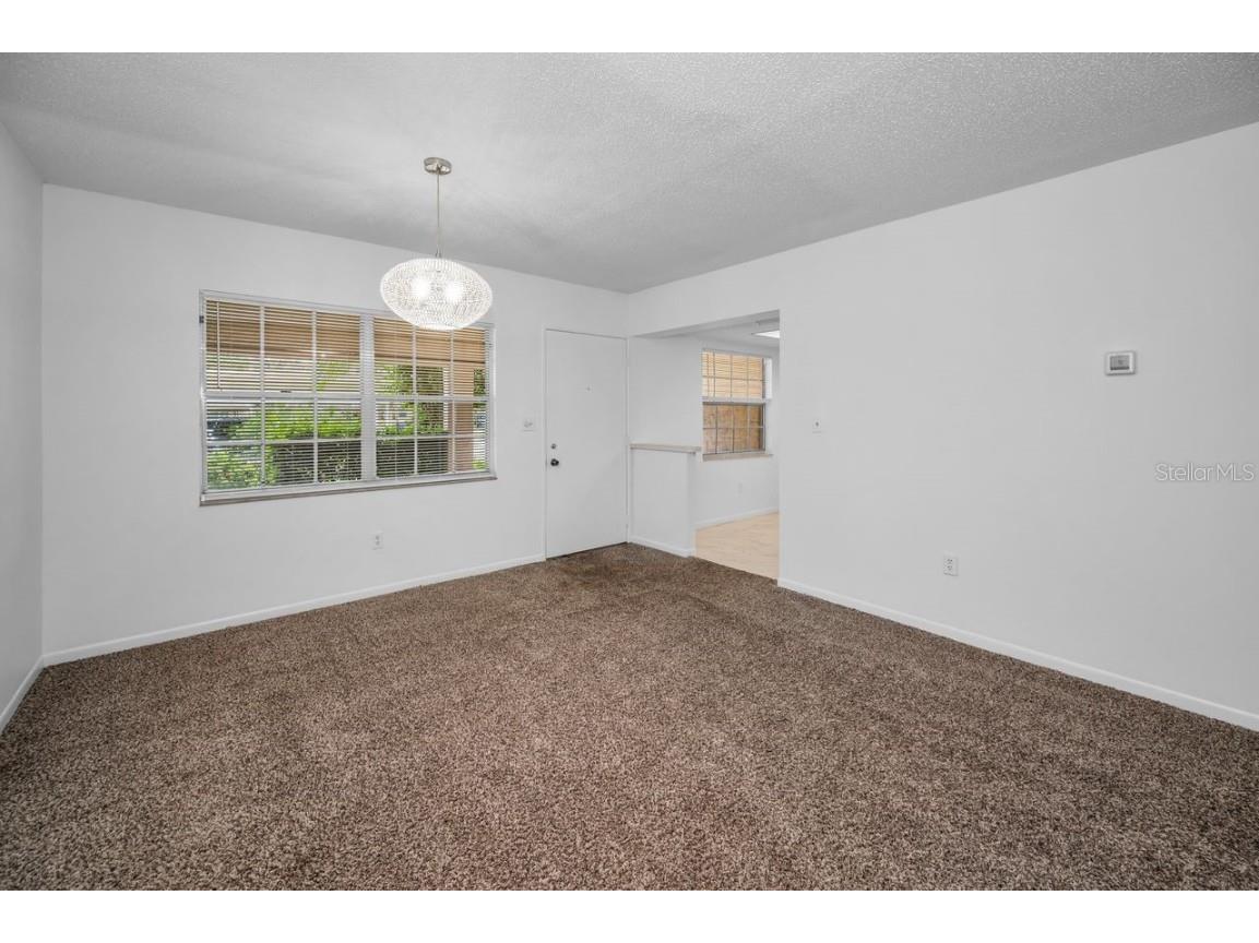 860 Virginia Street #105 Dunedin FL 34698 TB8429360 image10