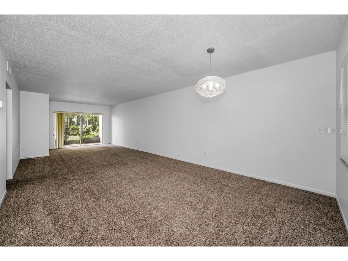 860 Virginia Street #105 Dunedin FL 34698 TB8429360 image11