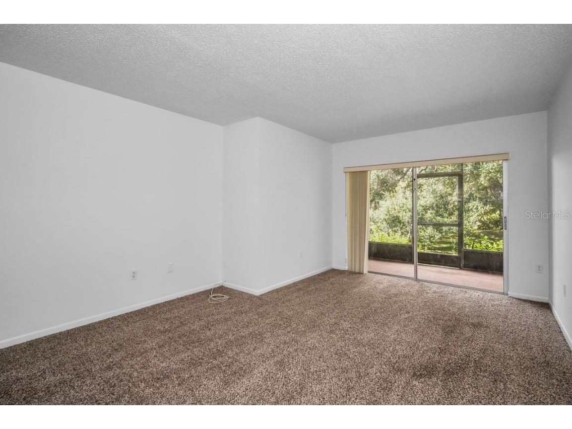 860 Virginia Street #105 Dunedin FL 34698 TB8429360 image12