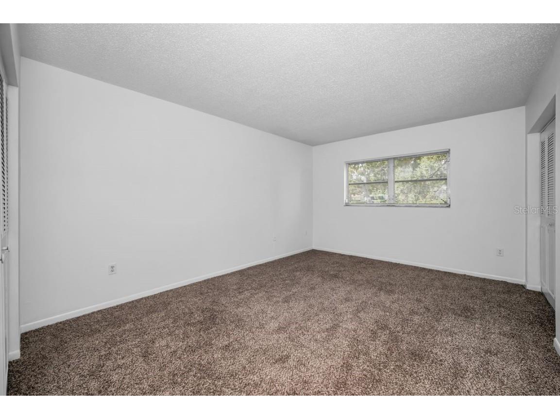 860 Virginia Street #105 Dunedin FL 34698 TB8429360 image15