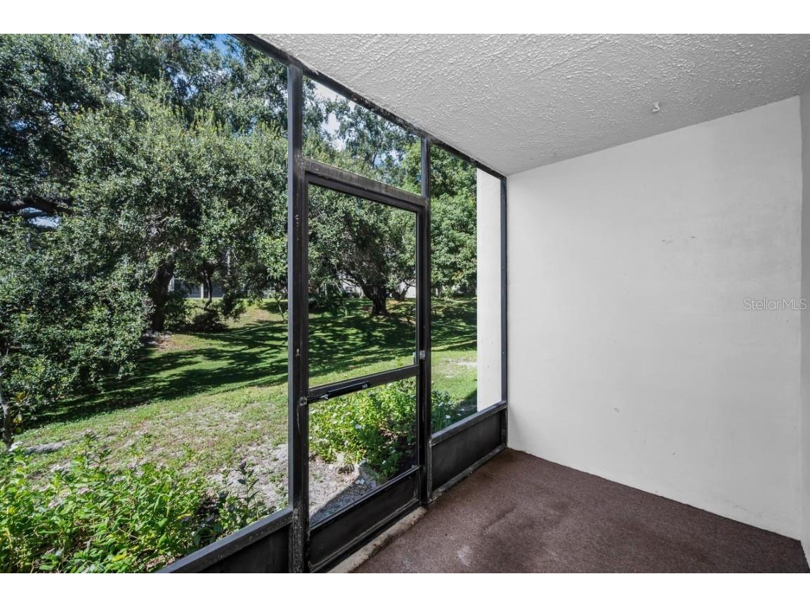 860 Virginia Street #105 Dunedin FL 34698 TB8429360 image23