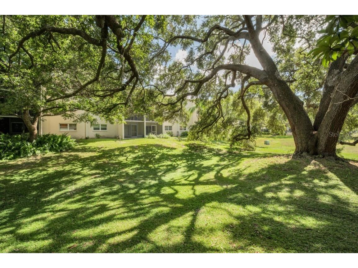 860 Virginia Street #105 Dunedin FL 34698 TB8429360 image24