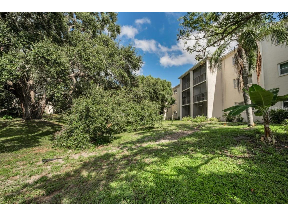 860 Virginia Street #105 Dunedin FL 34698 TB8429360 image26