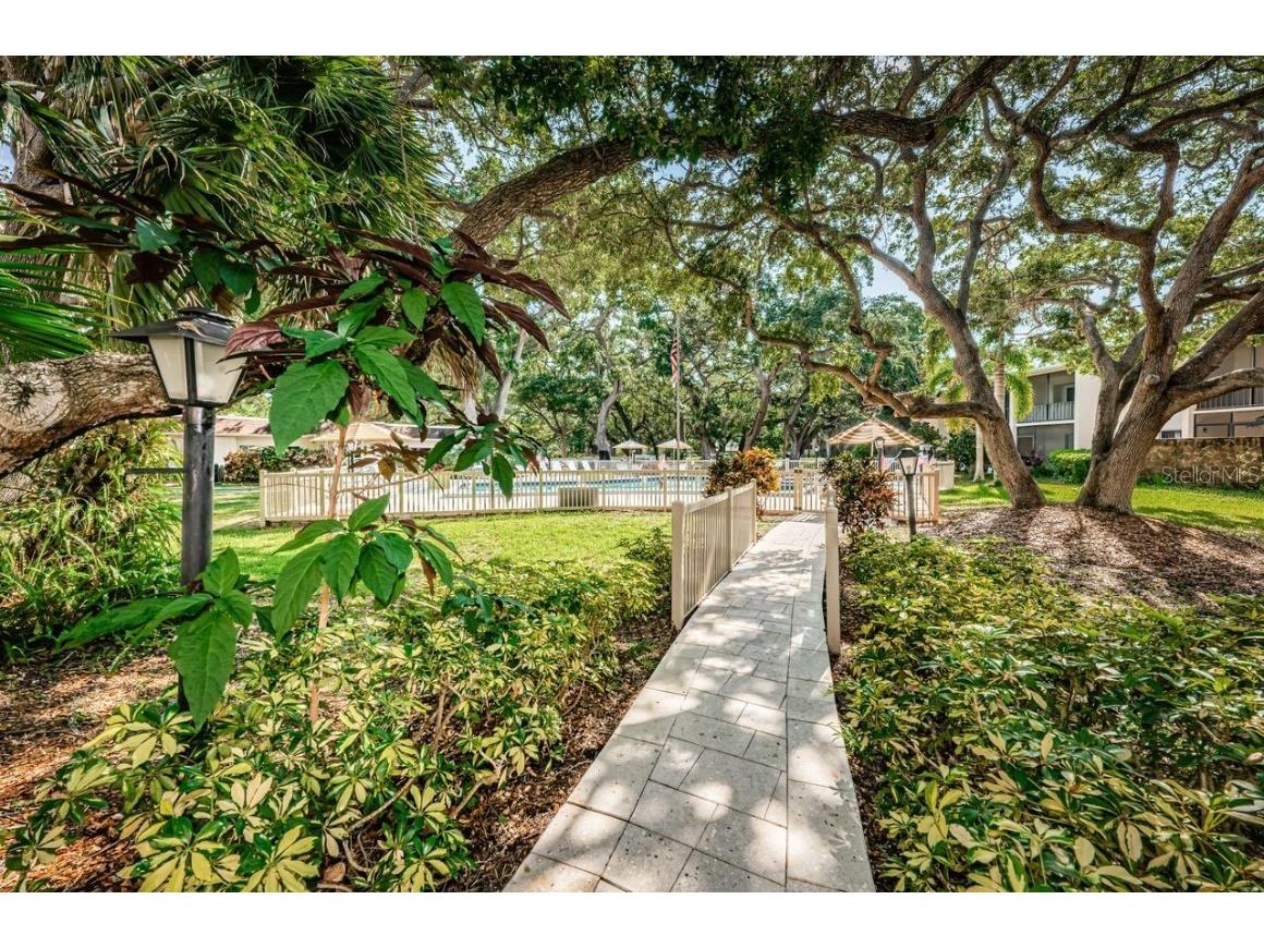 860 Virginia Street #105 Dunedin FL 34698 TB8429360 image29