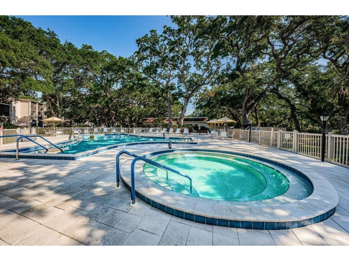 860 Virginia Street #105 Dunedin FL 34698 TB8429360 image30