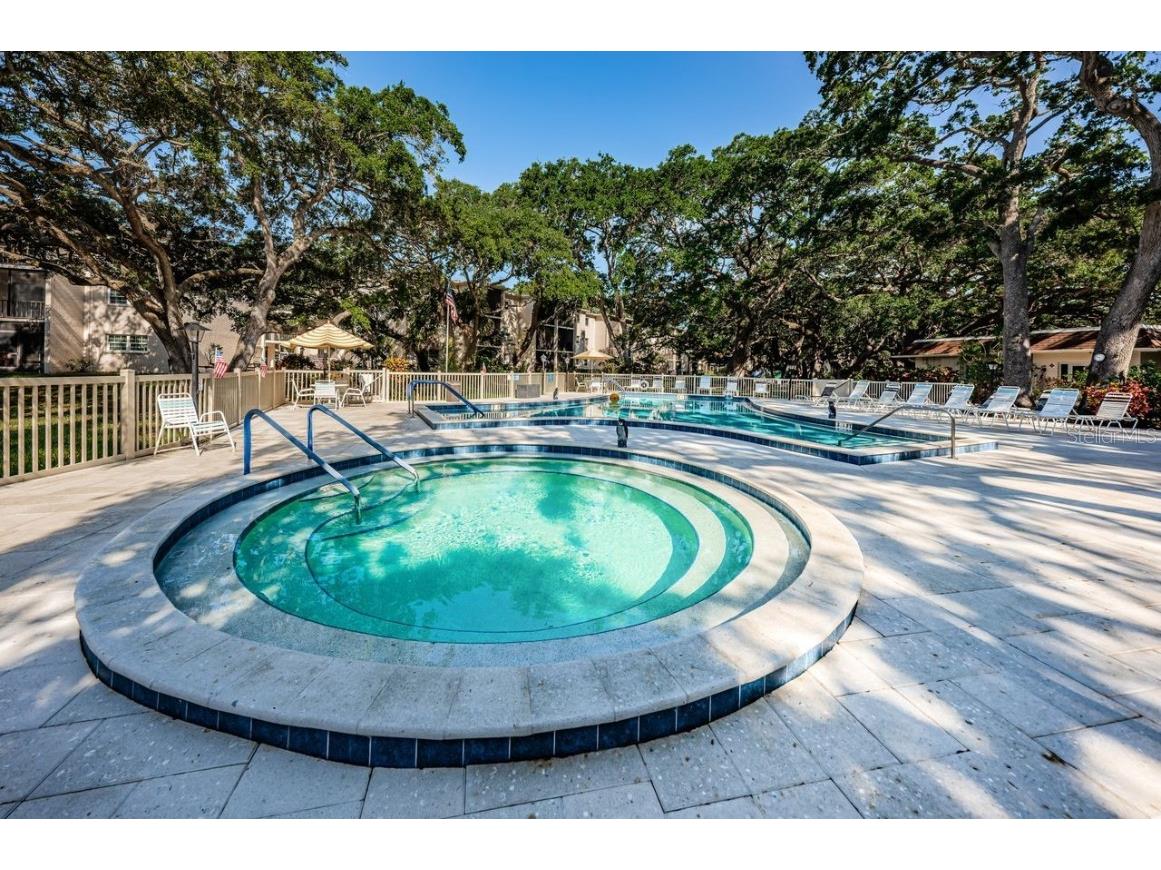 860 Virginia Street #105 Dunedin FL 34698 TB8429360 image31