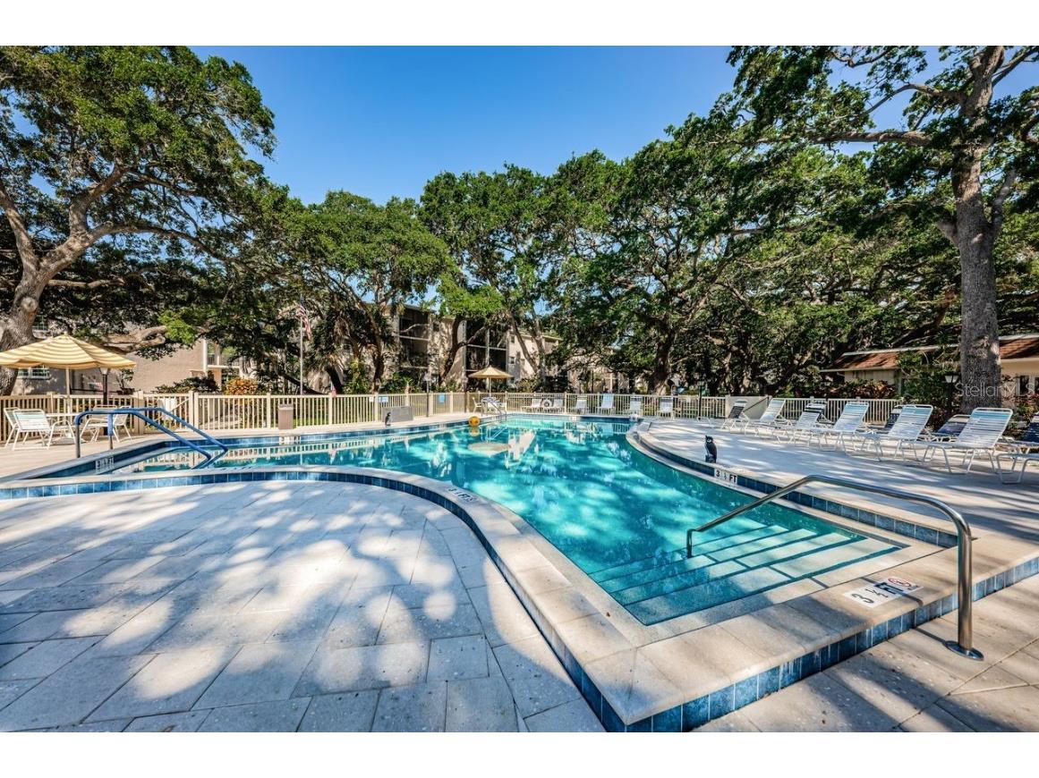 860 Virginia Street #105 Dunedin FL 34698 TB8429360 image32