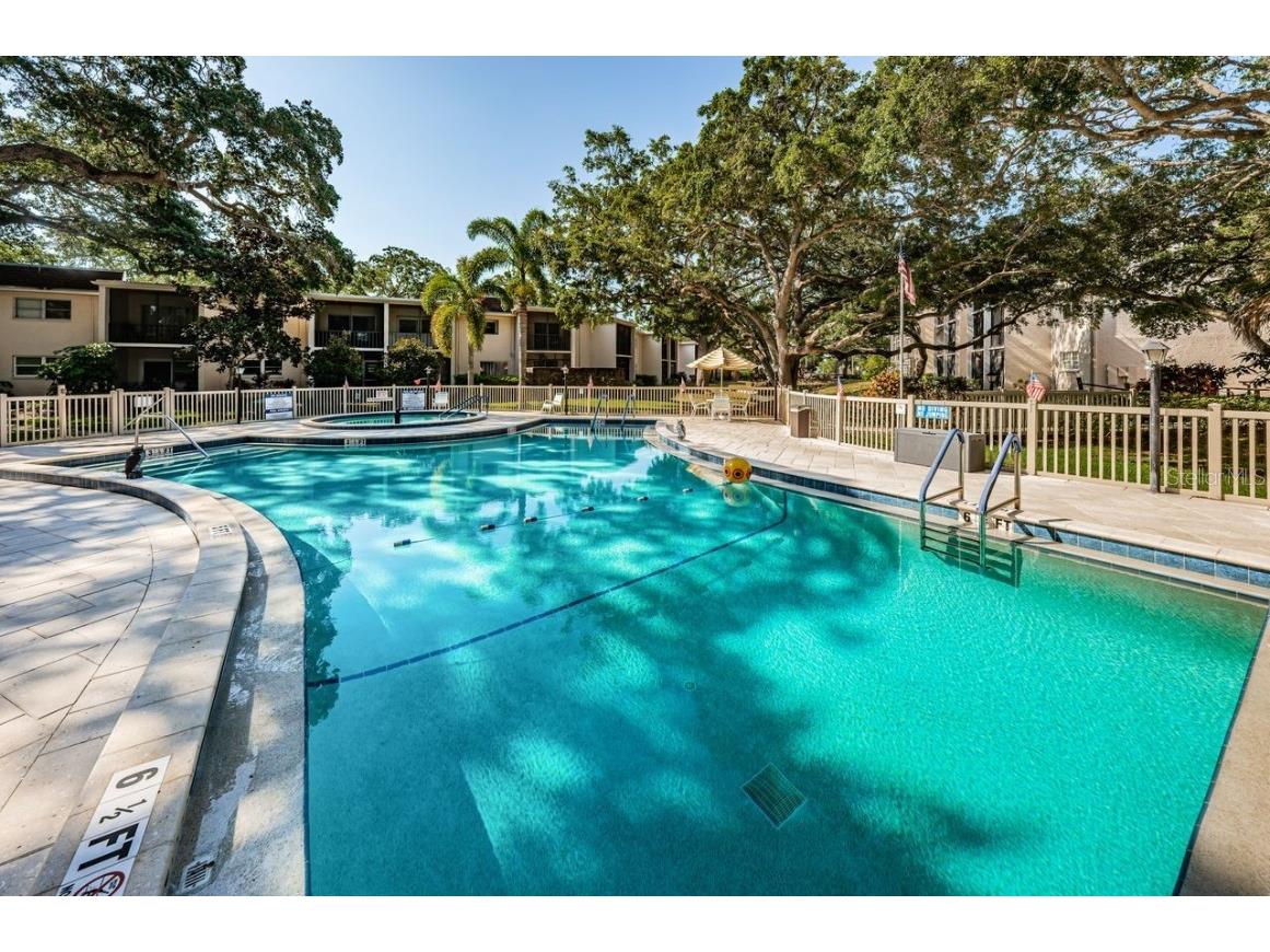 860 Virginia Street #105 Dunedin FL 34698 TB8429360 image33